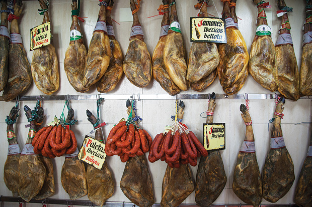 Acorn-fed Iberian hams, the region's famed jamón ibérico de bellota, for sale at a delicatessen in Plasencia.