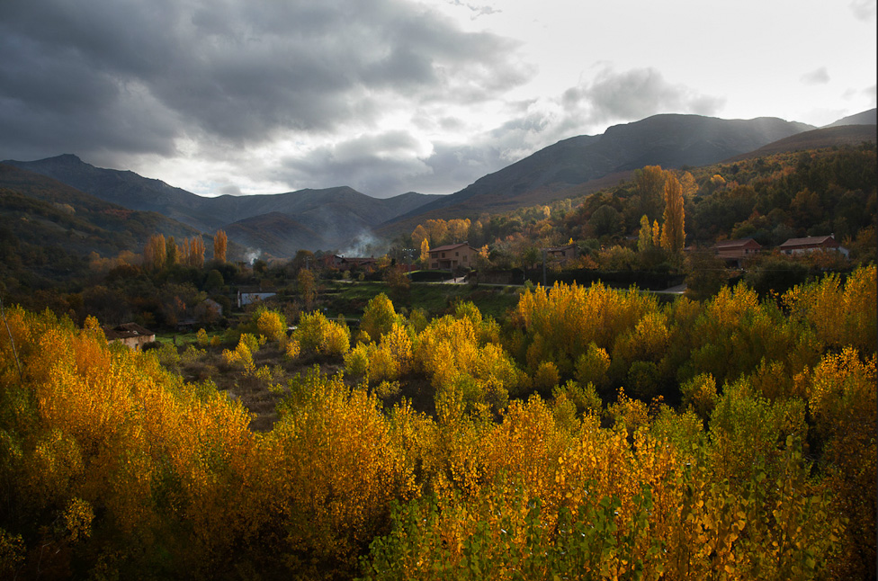 Autumn colors on a hillside above Hervás. 