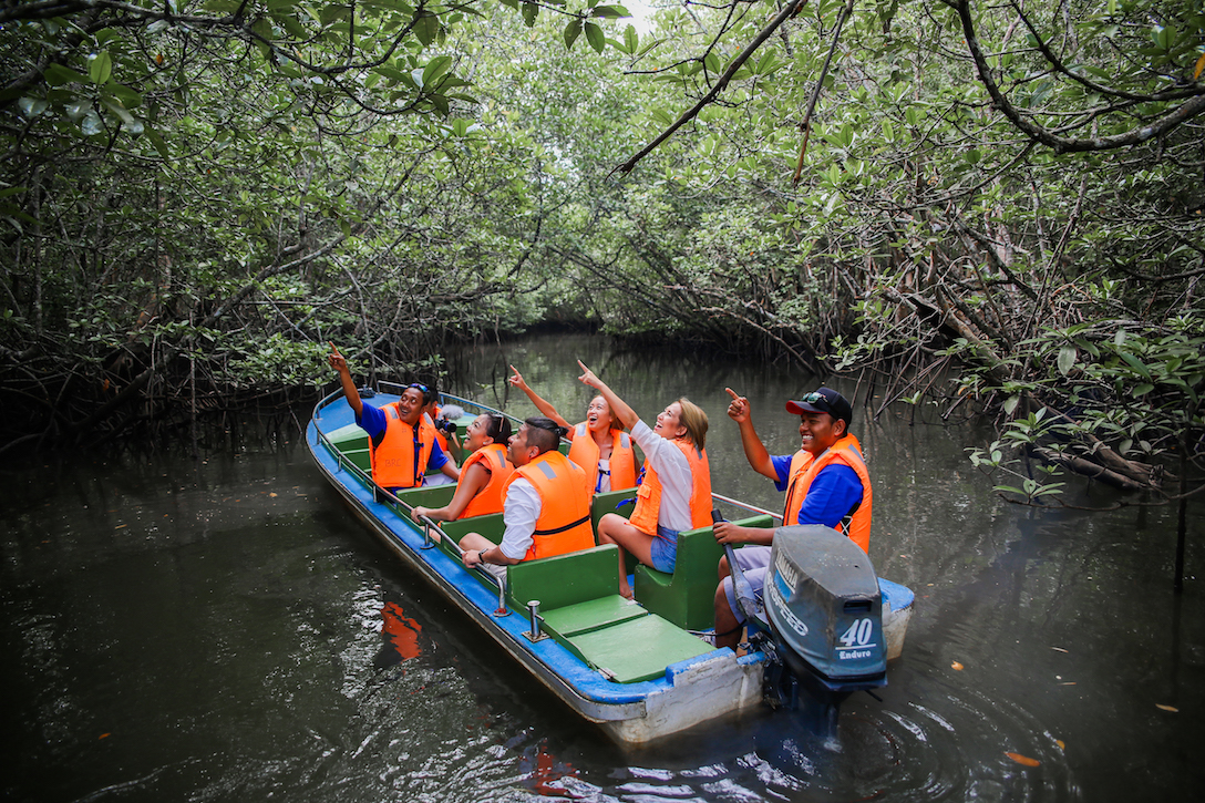 Mangrove discovery tour