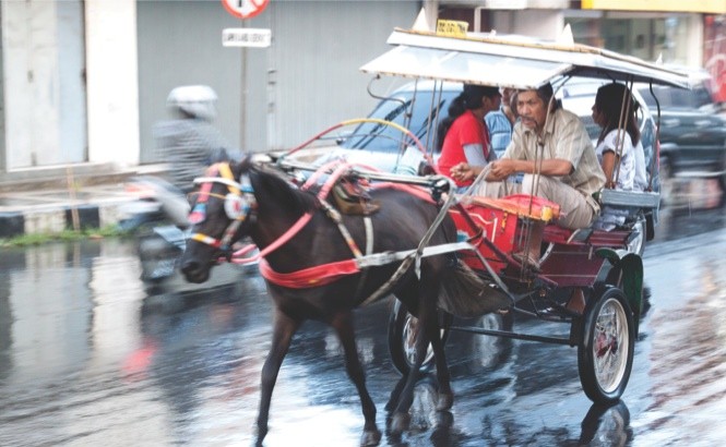 Sulawesi travel: a horse-drawn bendi